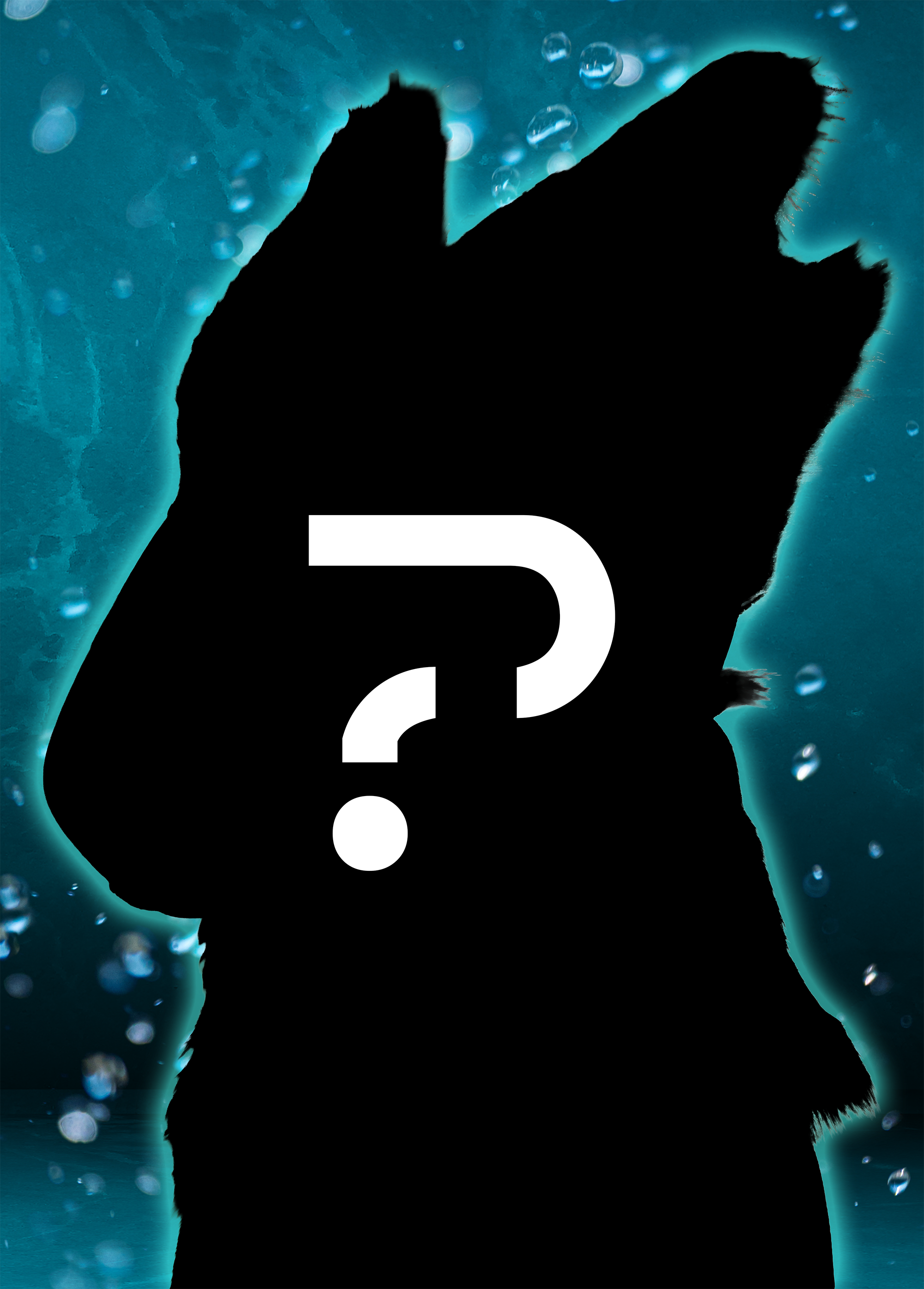 Kitsune Alchemist's Products!