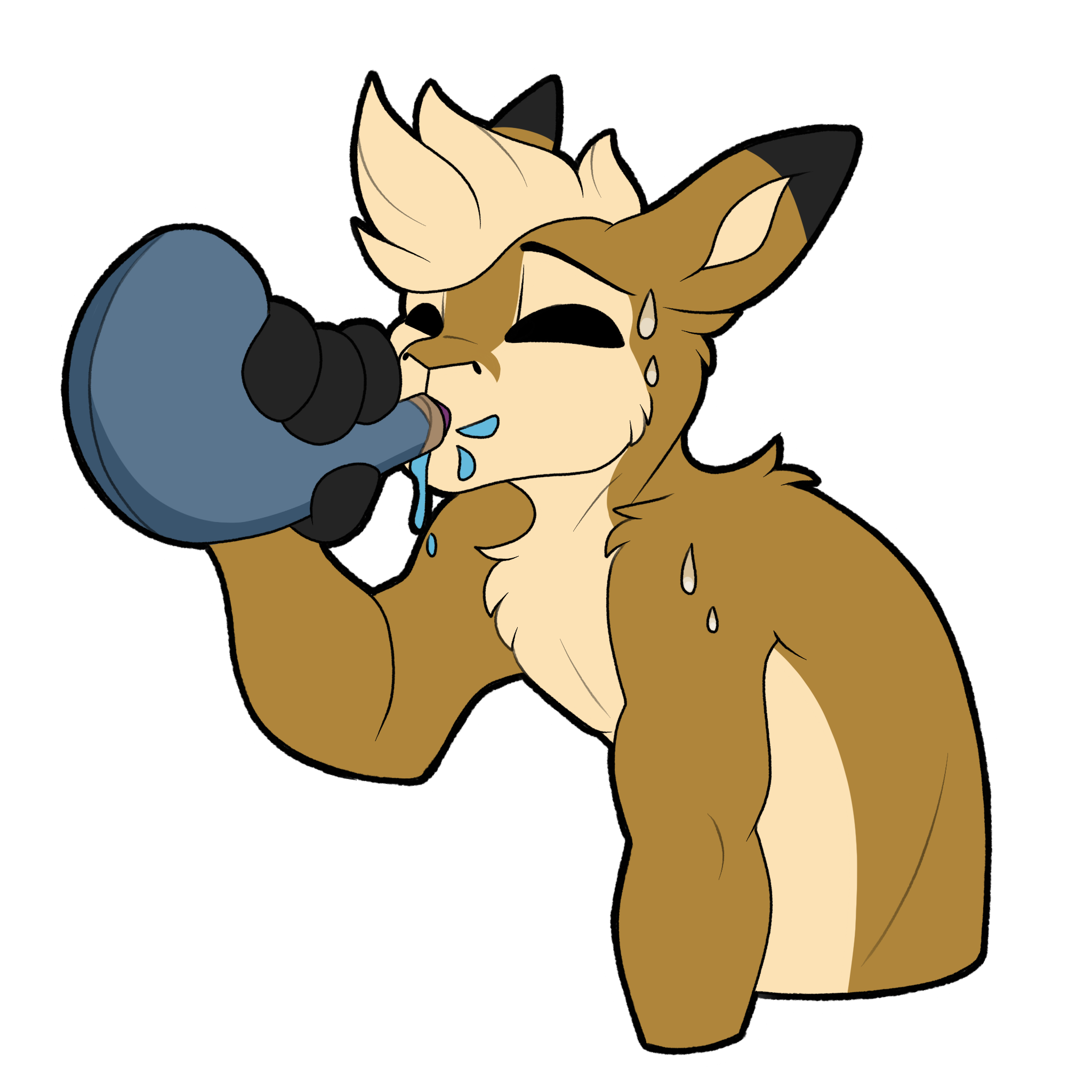 A thirsty DuRoo having a much needed drink