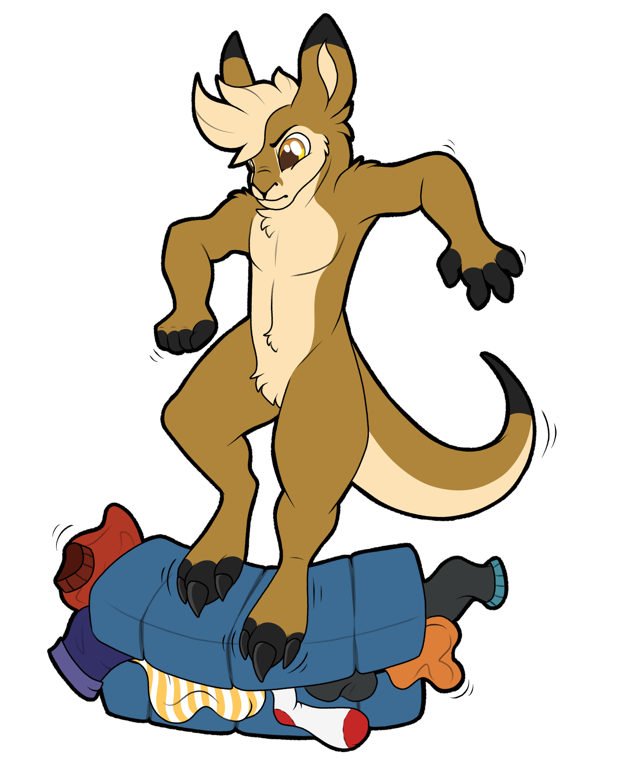 DuRoo jumping on his suitcase to shove everything inside