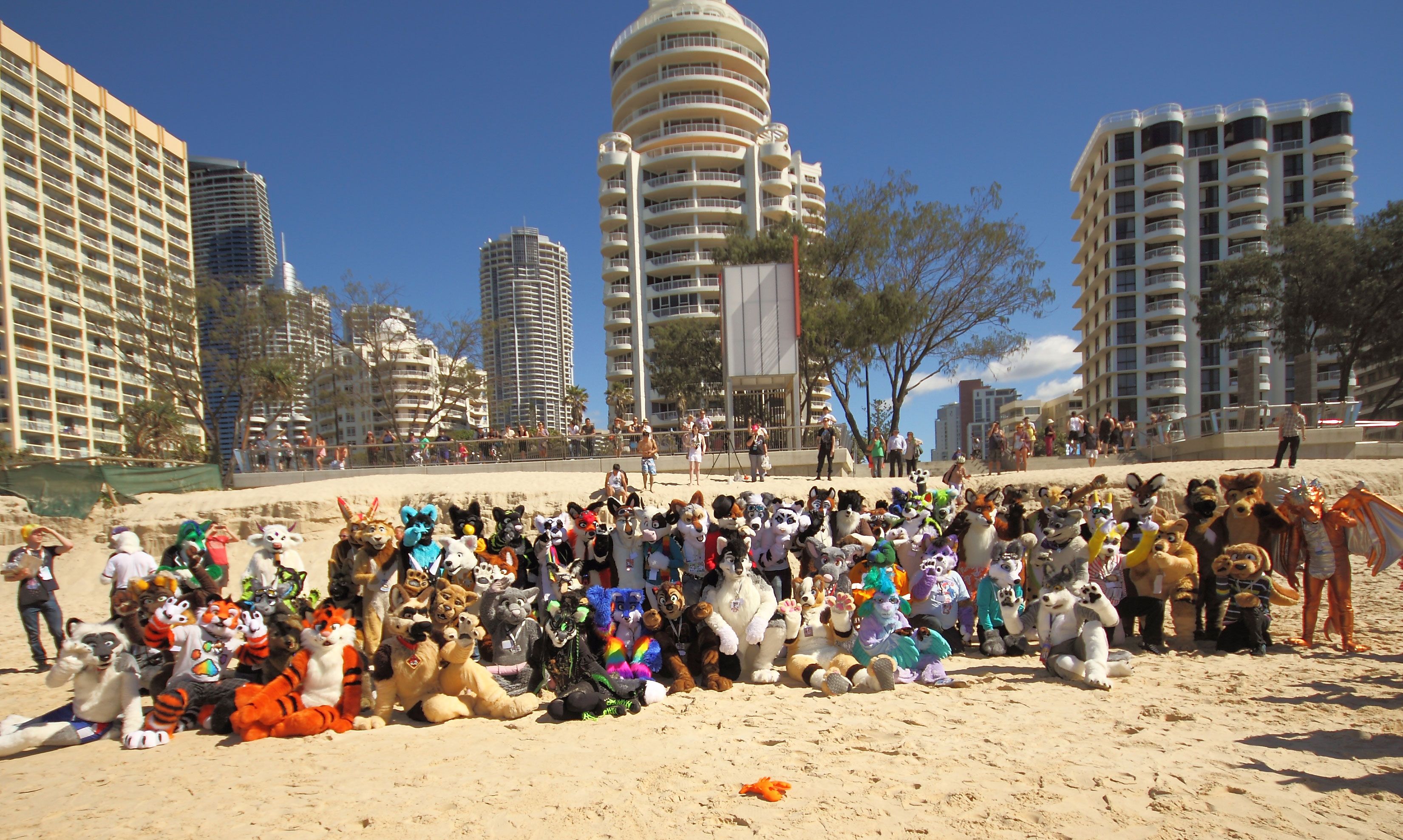 FurDU 2013