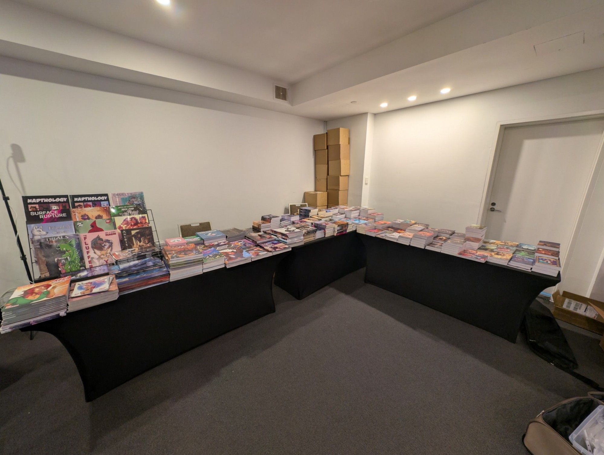 A selection of books published by TF Publishing